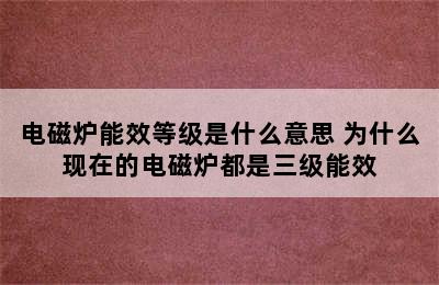 电磁炉能效等级是什么意思 为什么现在的电磁炉都是三级能效